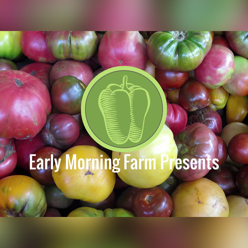 early morning farms