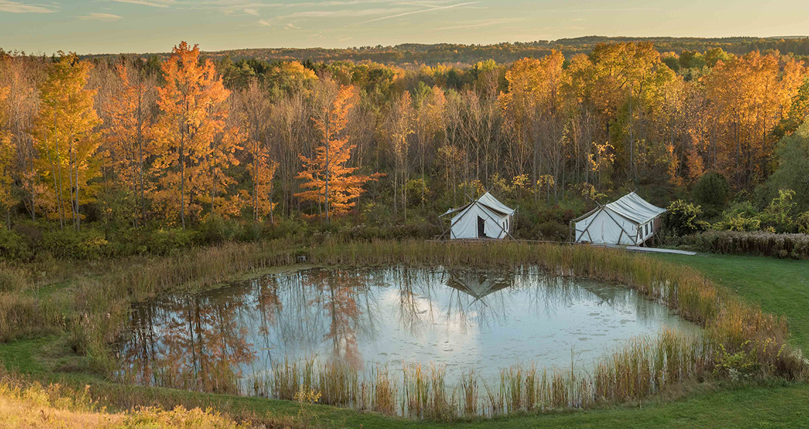 tent and pond